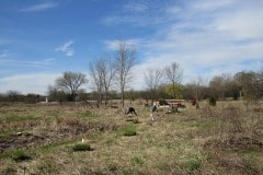 IMG_3019-1