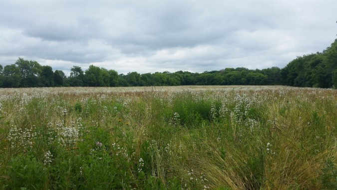 Far-Field-Horizontal